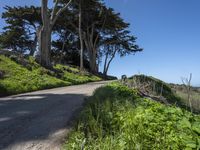 Coastal Wilderness in California