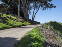 Coastal Wilderness in California