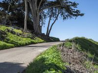 Coastal Wilderness in California