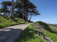 Coastal Wilderness in California