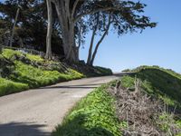 Coastal Wilderness in California