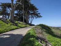 Coastal Wilderness in California