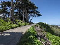 Coastal Wilderness in California