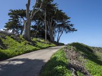 Coastal Wilderness in California