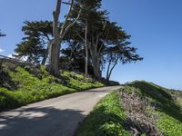 Coastal Wilderness in California