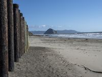 Coastal Wood Wall on Sandy Beach