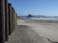 Coastal Wood Wall on Sandy Beach 002