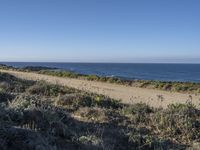 a road leading to the water and a body of water in the distance, with the beach just behind it