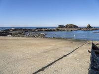 a lone bird stands on the concrete surface next to the beach and the ocean and rocks