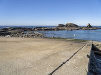 a lone bird stands on the concrete surface next to the beach and the ocean and rocks