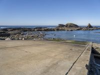 a lone bird stands on the concrete surface next to the beach and the ocean and rocks