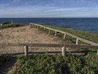 a wooden fence and some plants on a beach with the ocean in the background under a blue sky