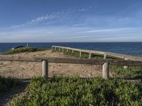 a wooden fence and some plants on a beach with the ocean in the background under a blue sky