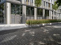 a paved stone sidewalk near a tall building with glass doors and trees growing next to a bench