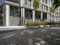 a paved stone sidewalk near a tall building with glass doors and trees growing next to a bench