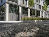 a paved stone sidewalk near a tall building with glass doors and trees growing next to a bench