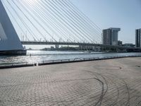 the skate boarder is riding down the brick walkway by the water with the bridge and buildings in the background