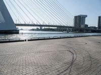 the skate boarder is riding down the brick walkway by the water with the bridge and buildings in the background