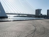 the skate boarder is riding down the brick walkway by the water with the bridge and buildings in the background