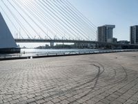 the skate boarder is riding down the brick walkway by the water with the bridge and buildings in the background