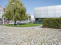 there is a stone block pavement next to a tree and a building on the other side