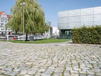 there is a stone block pavement next to a tree and a building on the other side