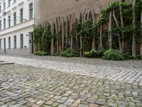 a cobblestone street with wooden benches and hedges on either side of it with green plants growing along the wall