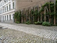 a cobblestone street with wooden benches and hedges on either side of it with green plants growing along the wall