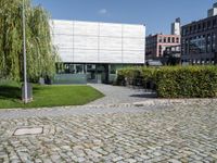 the courtyard, in which you can see the building in the background and the large trees in the foreground