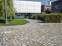 the courtyard, in which you can see the building in the background and the large trees in the foreground