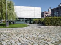 the courtyard, in which you can see the building in the background and the large trees in the foreground