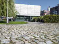 the courtyard, in which you can see the building in the background and the large trees in the foreground