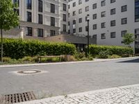 Cobble Stone Road: City Life in Berlin