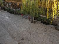 Cobble Stone Road in Lijiang's Old Town