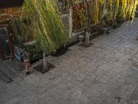 Cobble Stone Road in Lijiang's Old Town