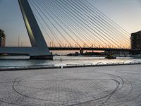 a person walking on a stone pathway by the water and the city skyline is in the background