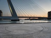 a person walking on a stone pathway by the water and the city skyline is in the background