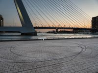 a person walking on a stone pathway by the water and the city skyline is in the background