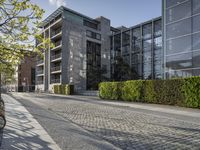 a cobble stone sidewalk in front of buildings and some plants and trees outside of them