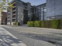 a cobble stone sidewalk in front of buildings and some plants and trees outside of them