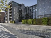 a cobble stone sidewalk in front of buildings and some plants and trees outside of them