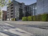 a cobble stone sidewalk in front of buildings and some plants and trees outside of them