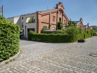 an old brick road in front of a building and shrubs around it that are growing up