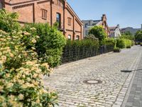 the cobblestone road leads up to a brick building with bushes and potted planters