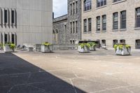 Cobble Stone Streets in Toronto's Art District