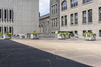 Cobble Stone Streets in Toronto's Art District