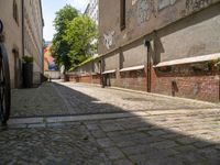 a brick city side walk between buildings and trees in the morning sun with graffiti on it