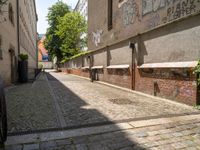 a brick city side walk between buildings and trees in the morning sun with graffiti on it