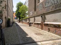 a brick city side walk between buildings and trees in the morning sun with graffiti on it