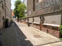 a brick city side walk between buildings and trees in the morning sun with graffiti on it